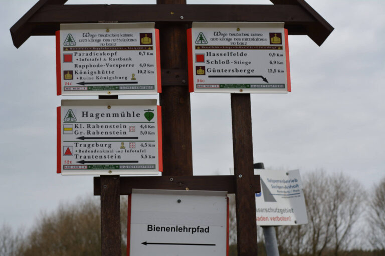 ferienhaus-christel-hasselfelde-18