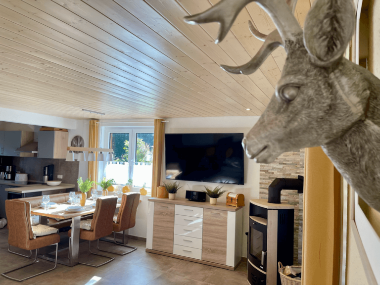 ferienhaus-christel-hasselfelde-46