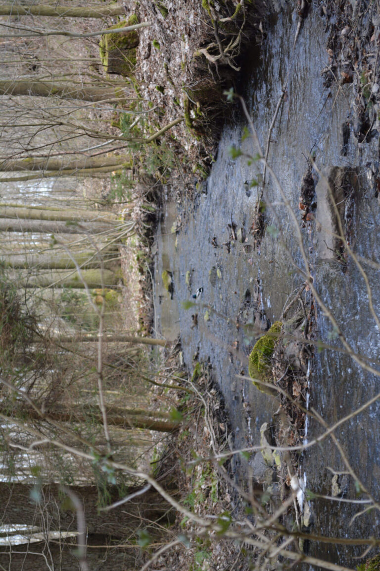 ferienhaus-christel-hasselfelde-47