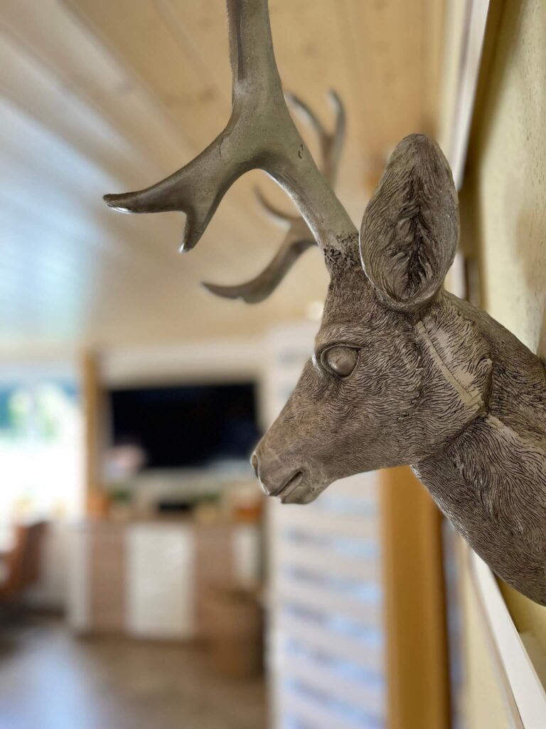 ferienhaus-christel-hasselfelde-7