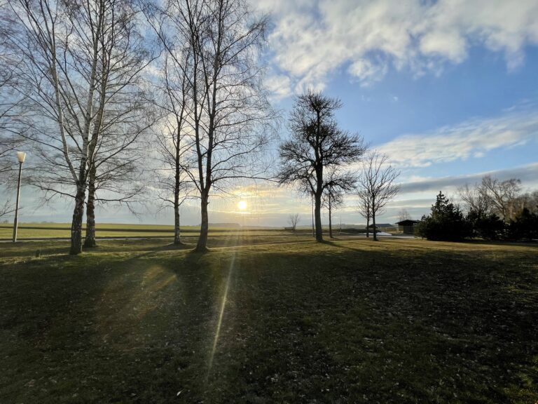 ferienhaus-glücksstück-hasselfelde-12