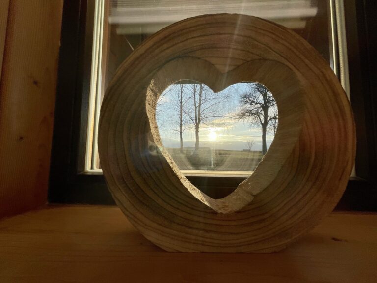 ferienhaus-glücksstück-hasselfelde-4