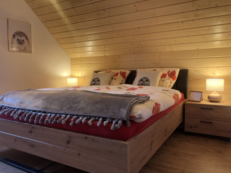 ferienhaus-goldstück-hasselfelde-13