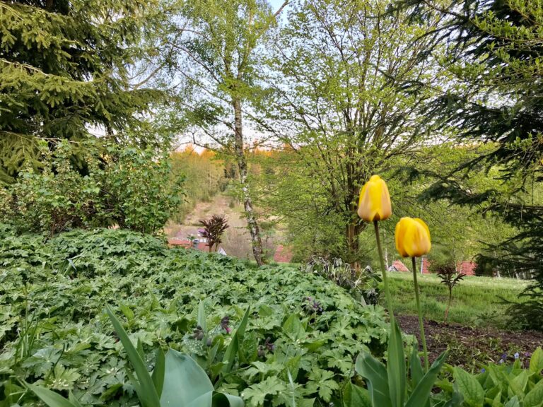 ferienhaus-lieblingsstück-tanne-13