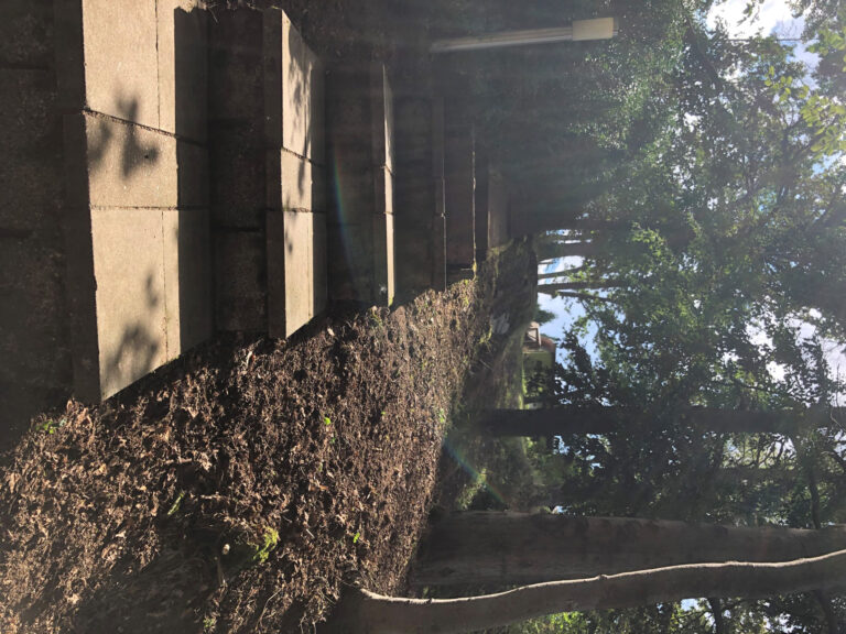 ferienhaus-panoramablick-stolberg-11