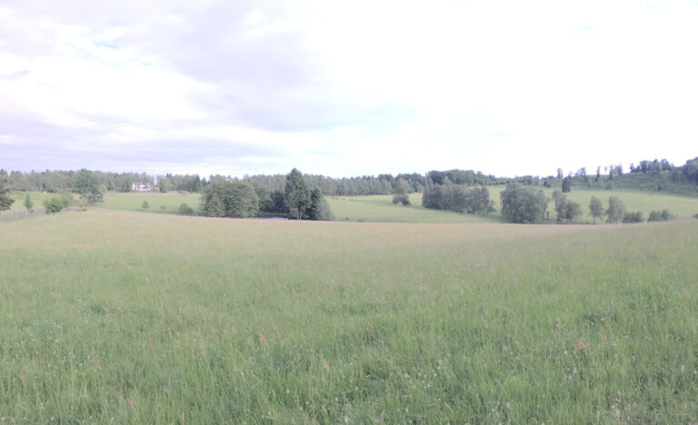 ferienhaus-panoramablick-stolberg-2