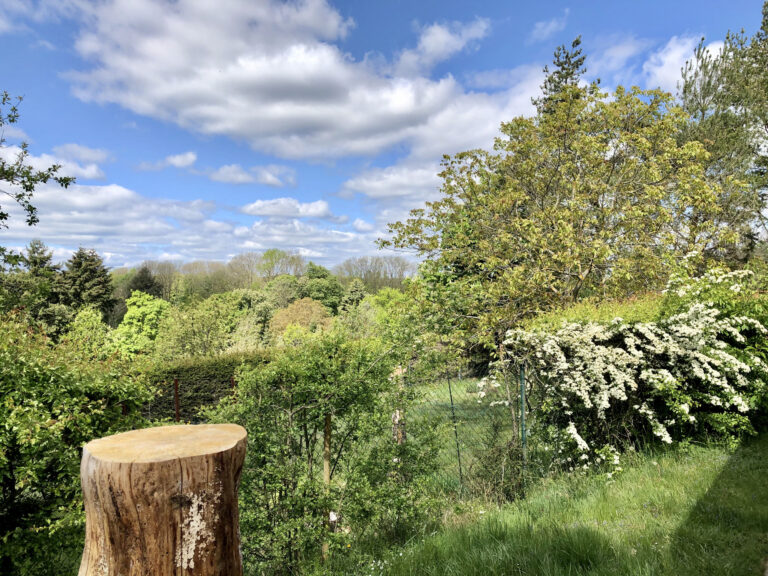 ferienhaus-panoramablick-stolberg-27