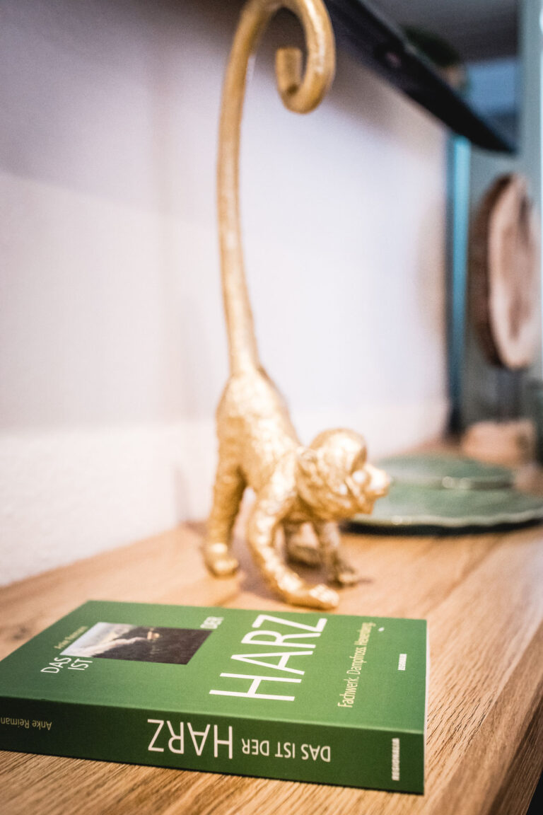 ferienhaus-waldstück-hasselfelde-33