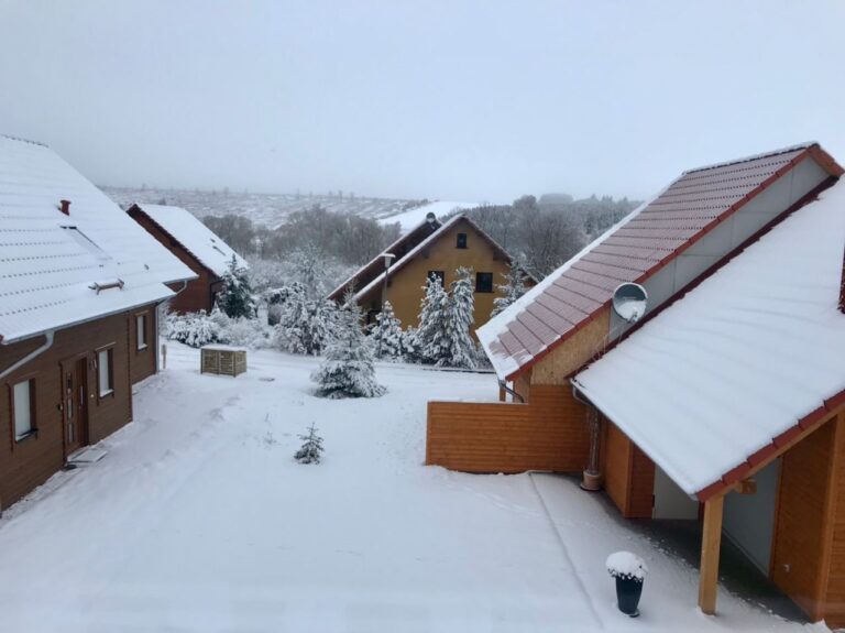 ferienhaus-waldstück-hasselfelde-37