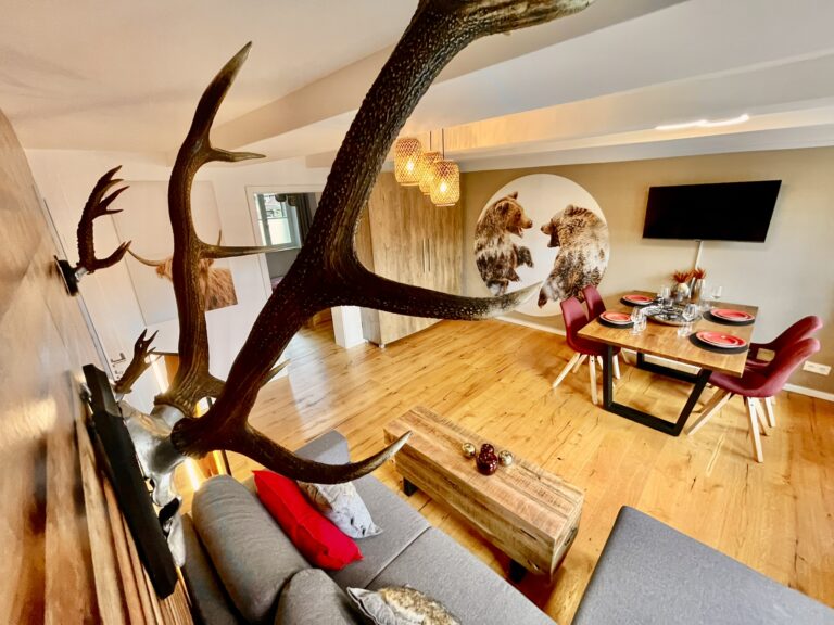 ferienwohnung-sternstück-wernigerode-8