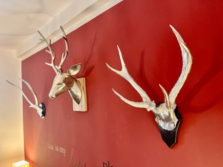 ferienwohnung-sternstück-wernigerode-9