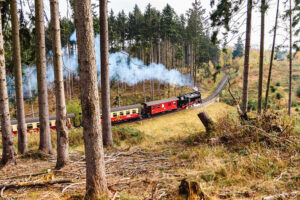 homelikestay-ferienhaus-vermietung-harz-ausflugsziele--10