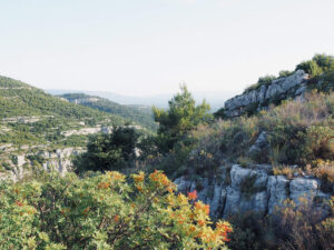 homelikestay-ferienhaus-vermietung-harz-ausflugsziele--18